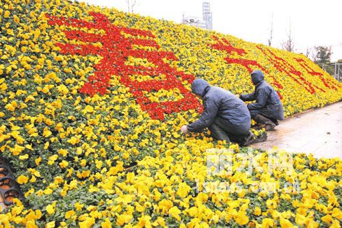 赣州市城区2012年春节摆花工程、春节前营造气氛工程